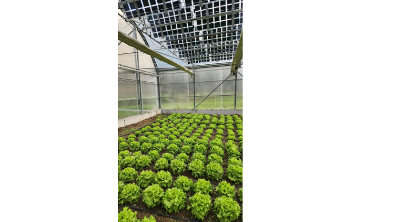 BUÜ’DEN TARIM VE ENERJİDE ÖNCÜ ADIM